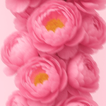 Perfume-Mist-mystic-bloom-desktop-03