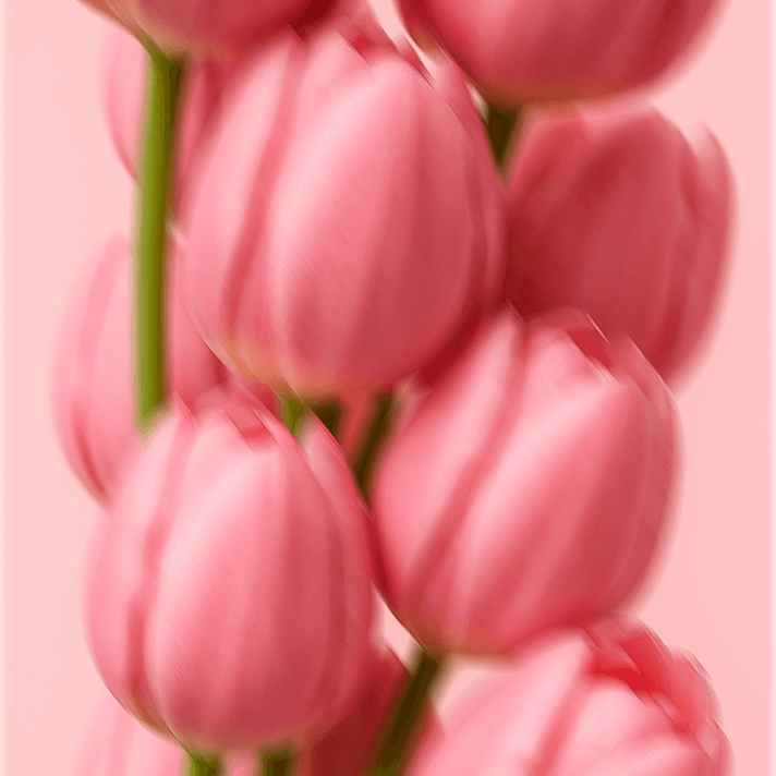 Perfume-Mist-Hidden-Flowers-desktop-03